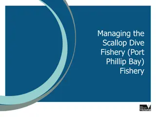 Sustainable Management of Port Phillip Bay Scallop Fishery