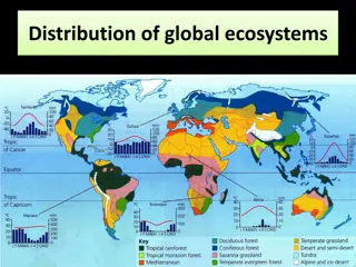 Global Ecosystems and Climate Influences