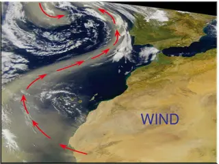 Atmospheric Forces and Their Impacts on Weather