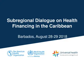 Subregional Dialogue on Health Financing in the Caribbean: Working Group Dynamics