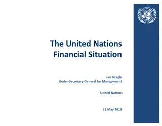 United Nations Financial Situation Analysis