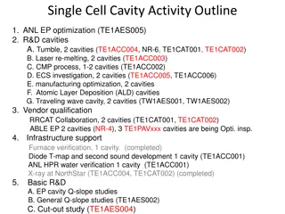 Single Cell Cavity Activity Overview