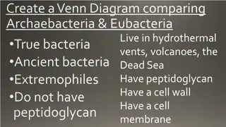 Comparison of Archaebacteria & Eubacteria Venn Diagram