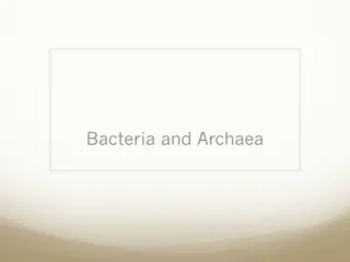 Understanding Bacterial Form and Function: Structures, Shapes, and Arrangements