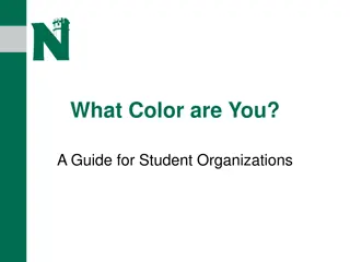 True Colors: A Guide to Personalities in Student Organizations