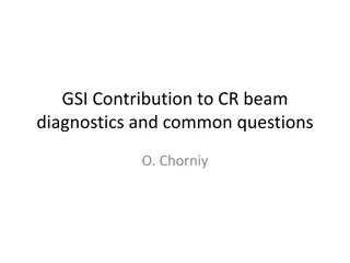 GSI Contribution to CR Beam Diagnostics and Future Contracts