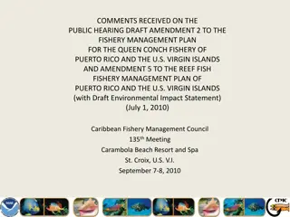 Public Hearing Draft Amendments to Fishery Management Plans in Puerto Rico and U.S. Virgin Islands