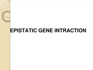 Epistasis: Genetic Interactions and Their Implications