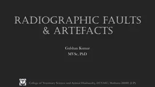 Understanding Radiographic Faults and Artefacts in Veterinary Imaging