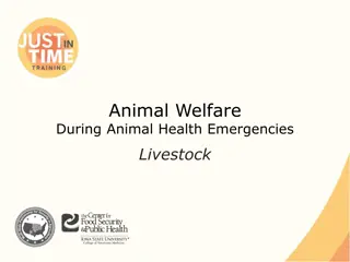 Comprehensive Guide to Livestock Animal Welfare During Health Emergencies