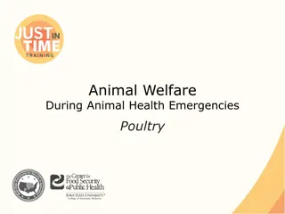 Animal Welfare in Poultry Farming: Ensuring Health and Well-being