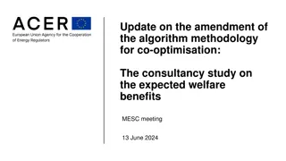 Update on Algorithm Methodology for Co-optimisation Study