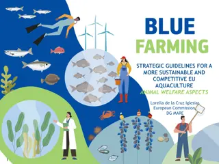 Enhancing Animal Welfare in EU Aquaculture: Strategic Guidelines for Sustainability