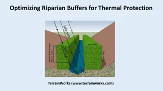 Optimizing Riparian Buffers for Thermal Protection in Teanaway River Watershed