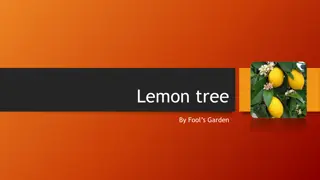 Interactive Activities Based on the Song 'Lemon Tree' by Fool's Garden