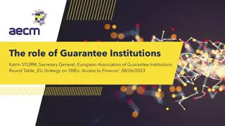 The Role of Guarantee Institutions in Supporting European SMEs