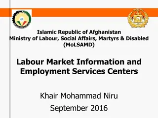 Labor Market Information and Employment Services in Afghanistan