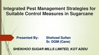 Integrated Pest Management Strategies in Sugarcane for Sustainable Crop Production