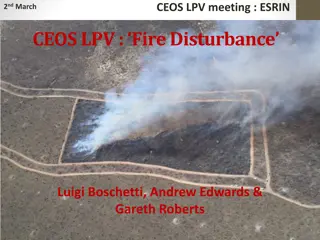 CEOS LPV Fire Disturbance Products Overview