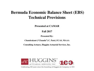 Bermuda Economic Balance Sheet (EBS) Technical Provisions Overview