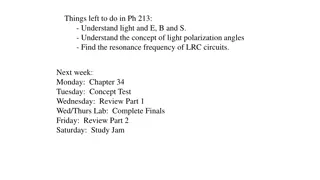 E and B Fields in Physics 213