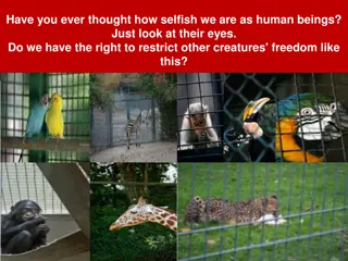 The Ethical Dilemma of Animal Captivity: A Poetic Perspective