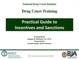 Practical Guide to Incentives and Sanctions in Drug Court Training