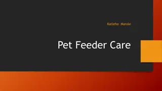 Innovative Pet Feeder System with Smart Features