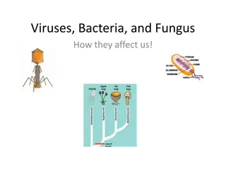 How Viruses, Bacteria, and Fungi Impact Human Health