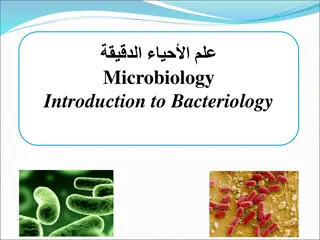 Bacterial Growth and Reproduction in Microbiology