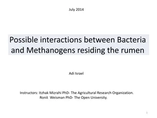 Interactions Between Bacteria and Methanogens in the Rumen