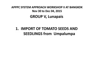 System Approach for Tomato Seedling and Seed Quarantine Pests Management