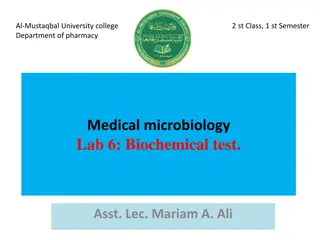 Microbiology Biochemical Tests for Bacterial Identification