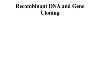 Recombinant DNA and Gene Cloning