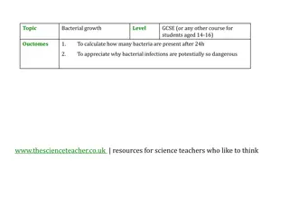 Bacterial Growth and Mass Increase Calculation in a Patient