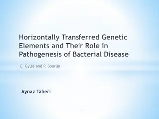 Mechanisms and Role of Horizontally Transferred Genetic Elements in Bacterial Disease Pathogenesis