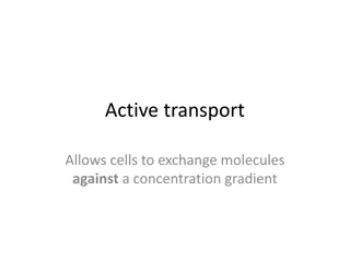 Active Transport in Cells