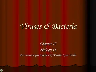 Understanding Viruses and Bacteria: A Biology Presentation by Mandie Lynn Walls