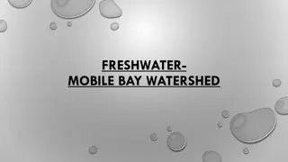 Exploring the Freshwater Mobile Bay Watershed