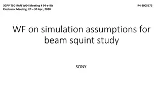 Simulation Assumptions and Performance Degradation Study on Beam Squint in 3GPP Meeting