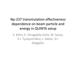 Effectiveness of Np-237 Transmutation in QUINTA Setup