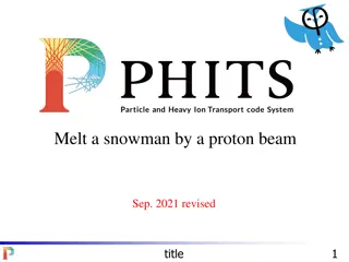 Proton Beam Simulation for Melting Snowman in Gundam Analysis