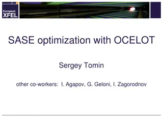 SASE Optimization with OCELOT: Recent Advances and Results