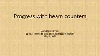 Progress with Beam Counters: Alexandre Savine