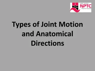 Essential Joint Motions and Anatomical Directions Explained