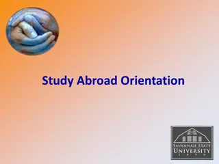 Essential Tips for a Successful Study Abroad Experience