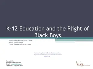 Challenges Faced by Black Boys in K-12 Education System