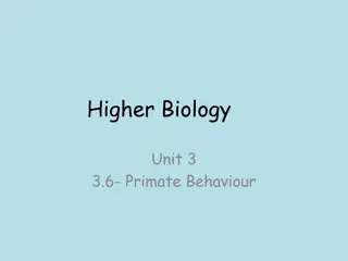 Understanding Primate Behavior: Insights into Social Dynamics