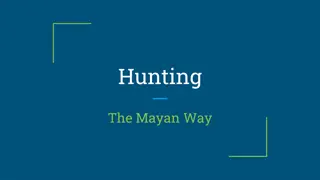 Mayan Hunting Practices: A Visual Analysis