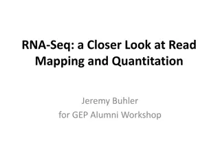 Exploring RNA-Seq Read Mapping and Quantitation